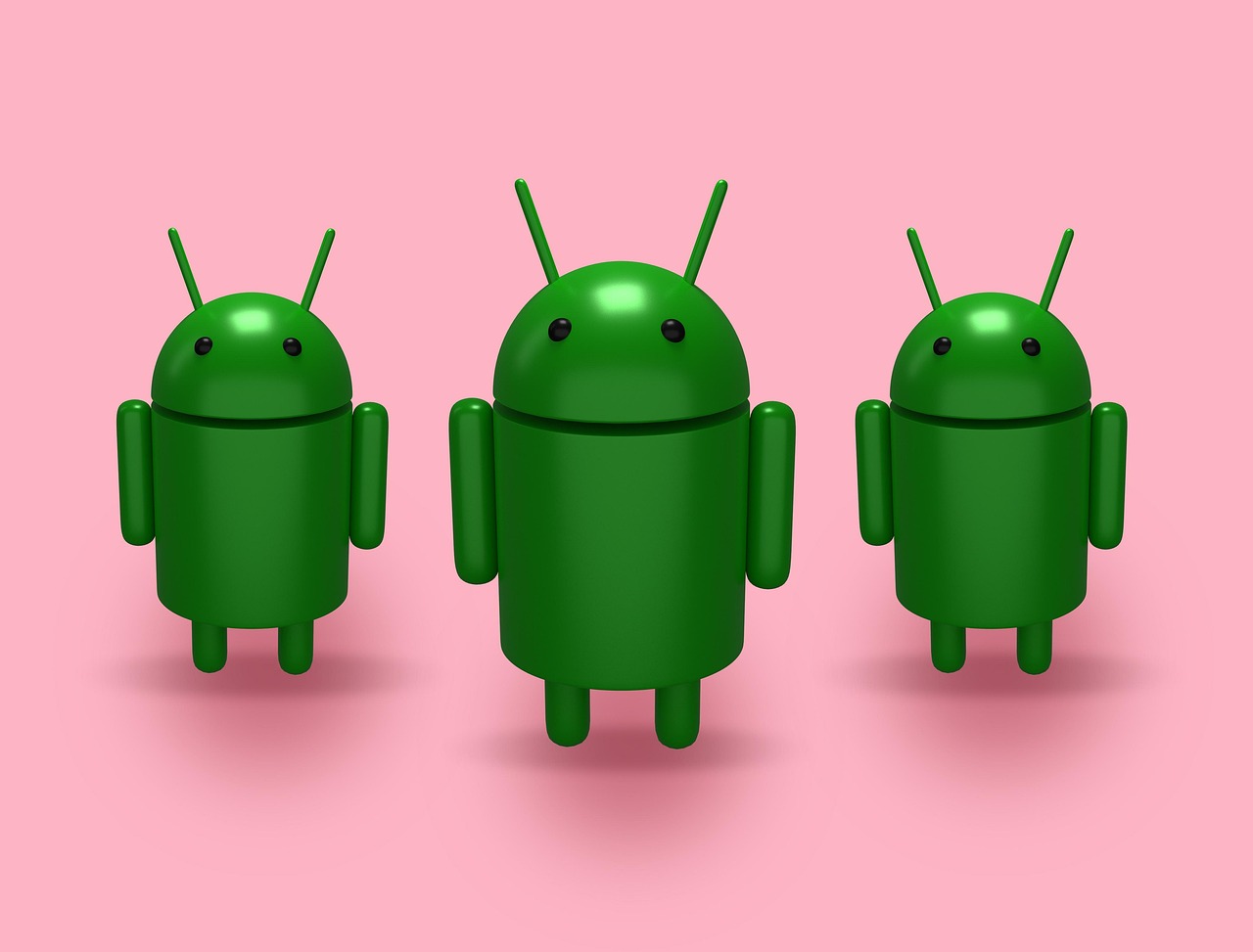 Zakres usług